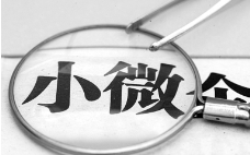 小微咨询系列项目