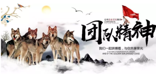 【内训课】打造一支具有锐意进取，敢于拼搏的狼性团队！ 中国工商银行某分行2019年高级管理人员《打造狼性团队》培训班成功举办！